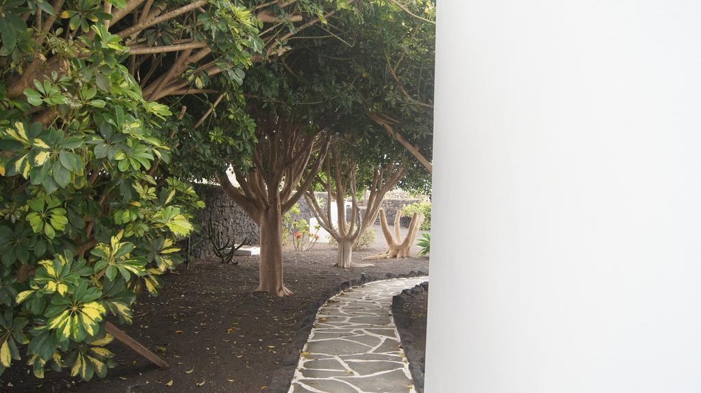 Finca La Rubina Mozaga Bagian luar foto