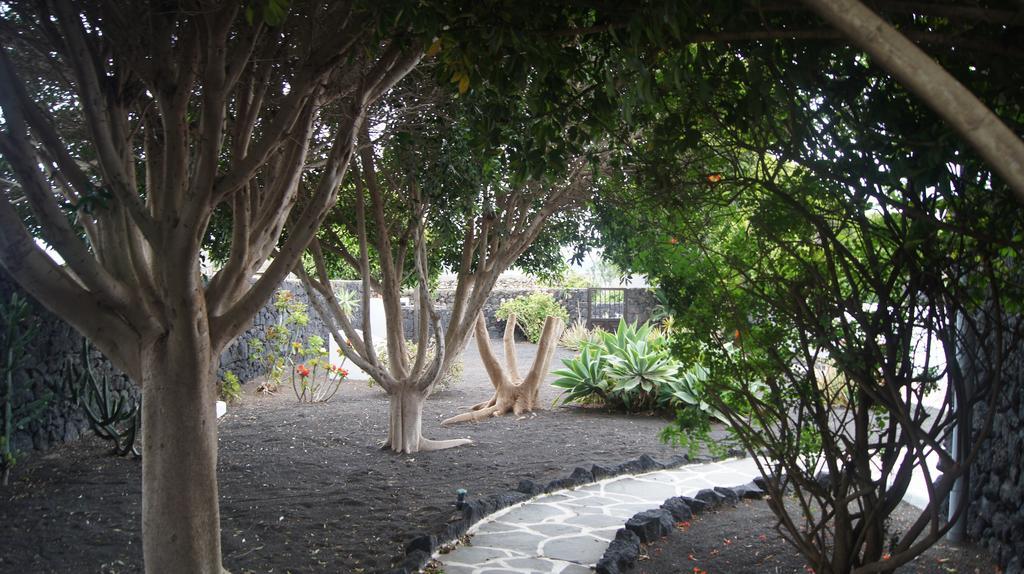 Finca La Rubina Mozaga Bagian luar foto